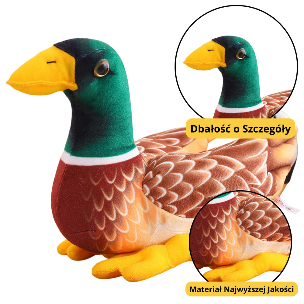 Plyšová kachnička LEAN Toys hnede-zelena 28 cm - mäkký mazlíček pre deti s realistickými detailmi