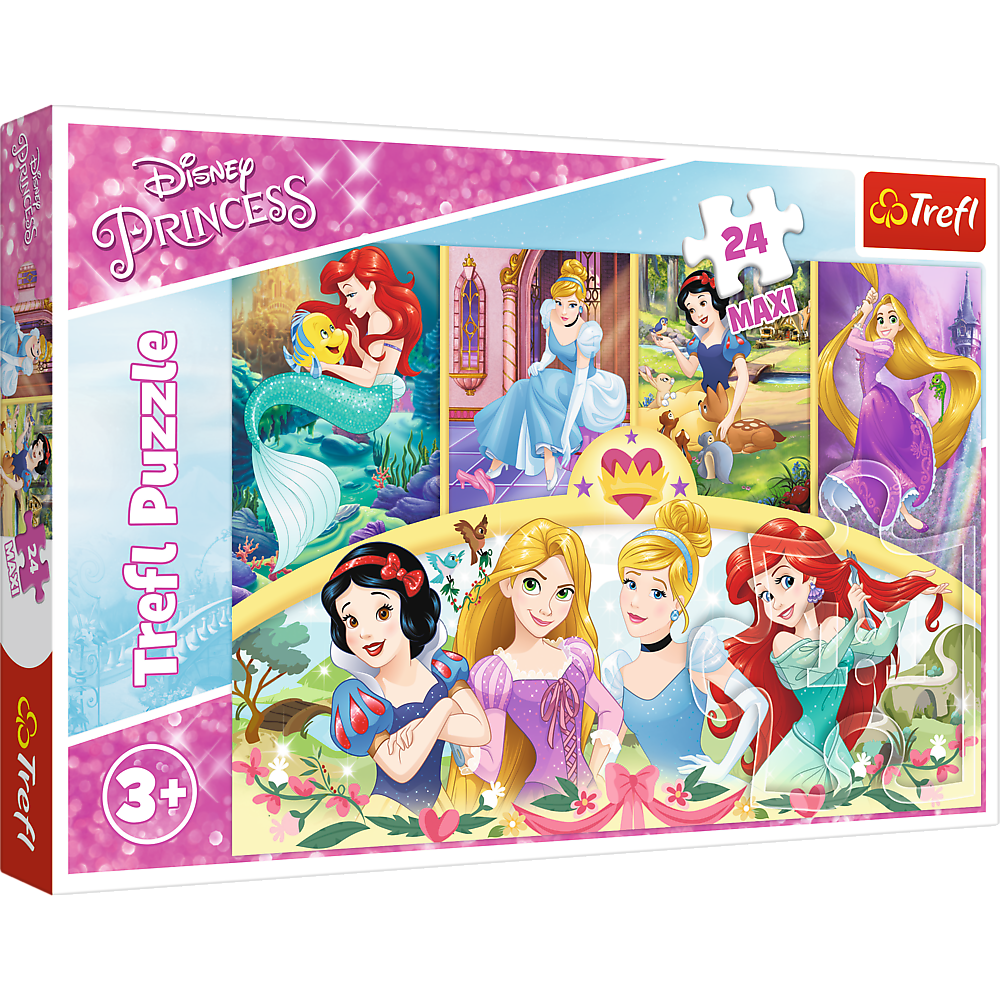Puzzle LEAN Toys 24 dílků - Kouzlo vzpomínek Disney Princezny 14294 — Celkový pohled