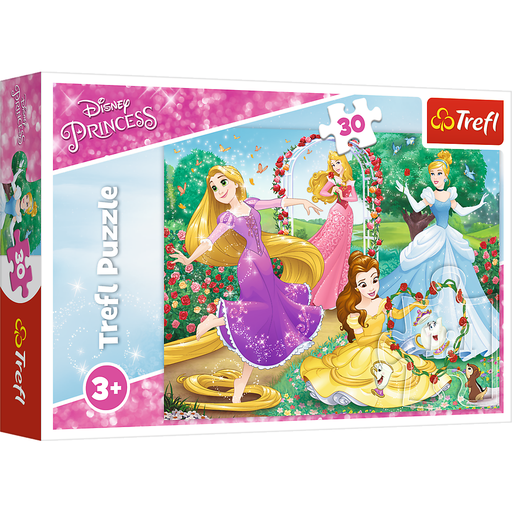 Puzzle - 30 - Být princeznou - Disney Princezny 18267 — Celkový pohled