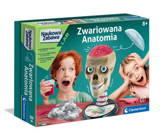 Interaktívny anatomický model lebky – vzdelávacia sada pre deti aj dospelých