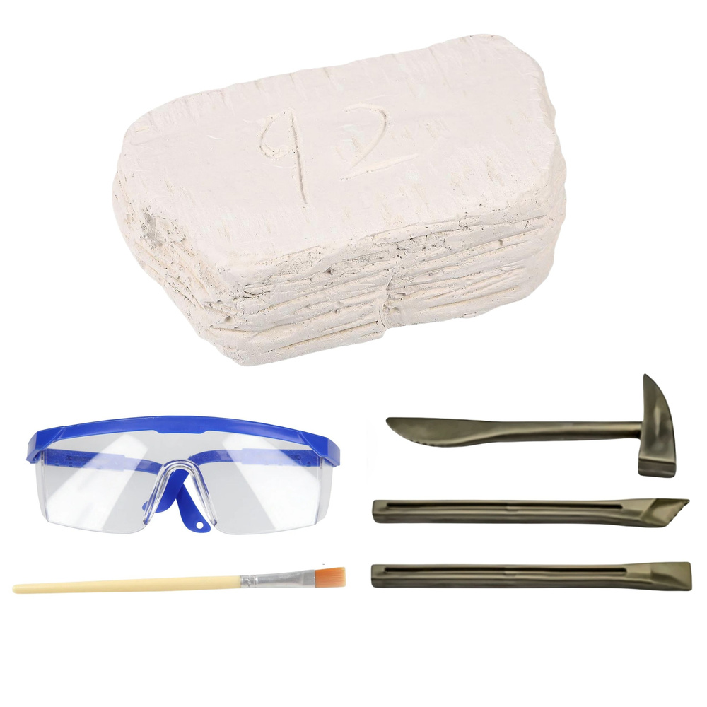 Archeologický set LEAN Toys s lebkami a nástroji pro děti od 6 let — Detail setu