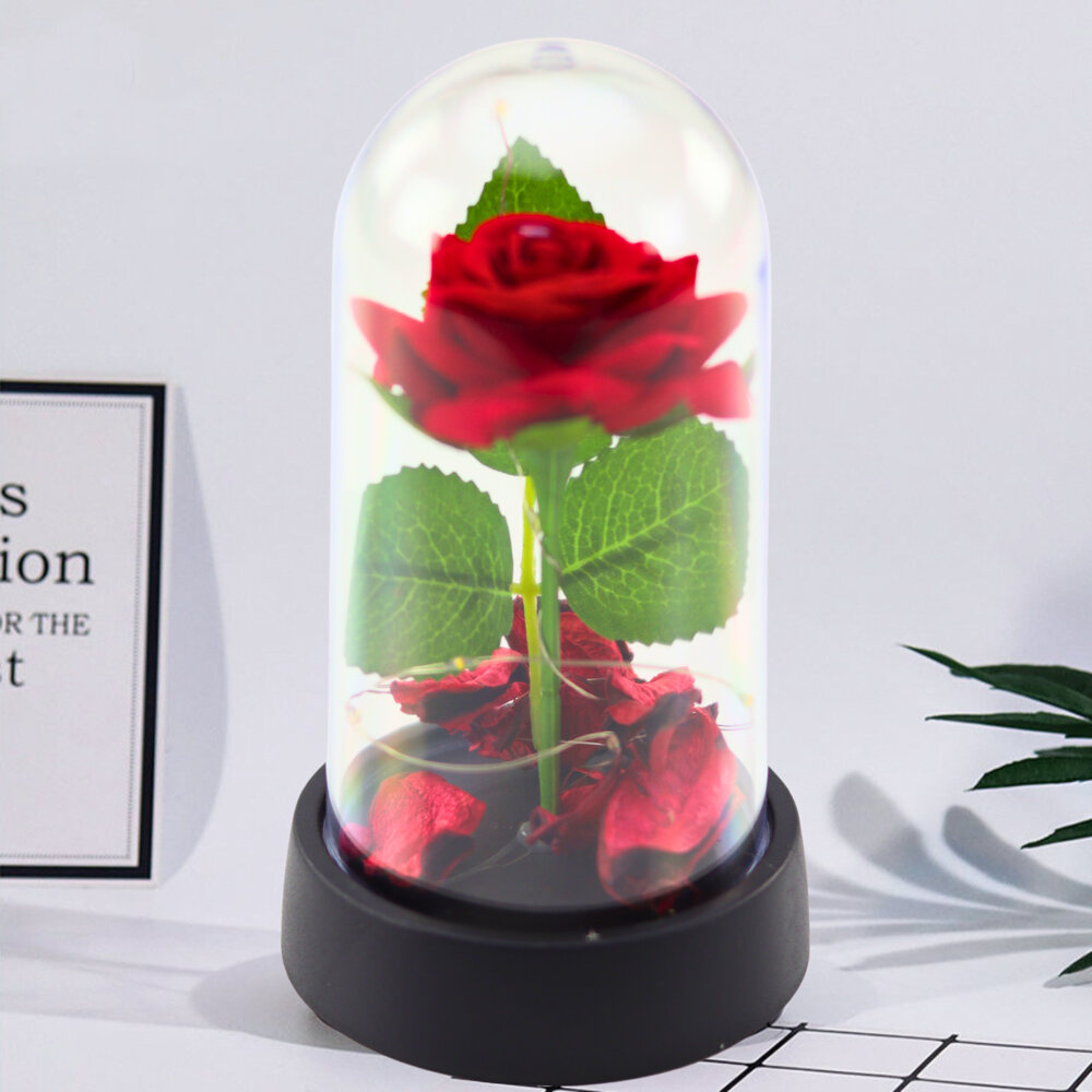 Věčná Růže v Kupoli s LED Osvětlením Červená s Růžovými Plátky 14x8cm