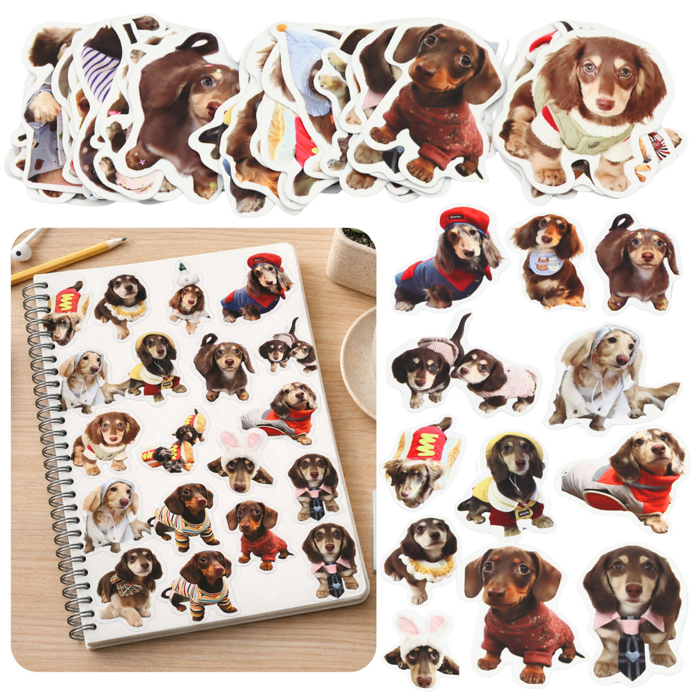 Papírové nálepky LEAN s motivy spanielských pejsků pro kreativní dekorace — Celkový pohled