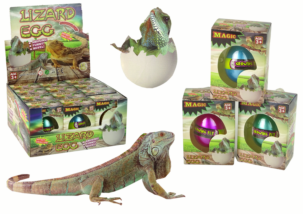 Magické líhnoucí se vejce ještěrka rostoucí 6 cm - LEAN Toys — Celkový pohled
